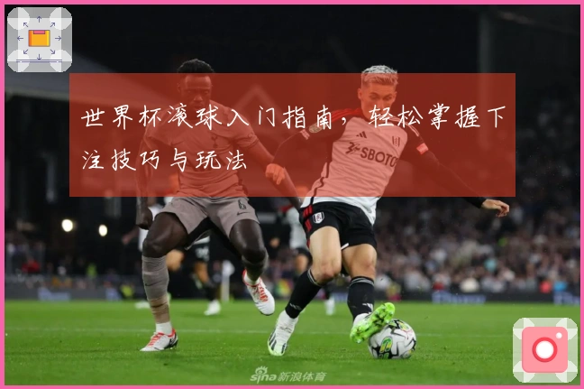 世界杯滚球入门指南，轻松掌握下注技巧与玩法