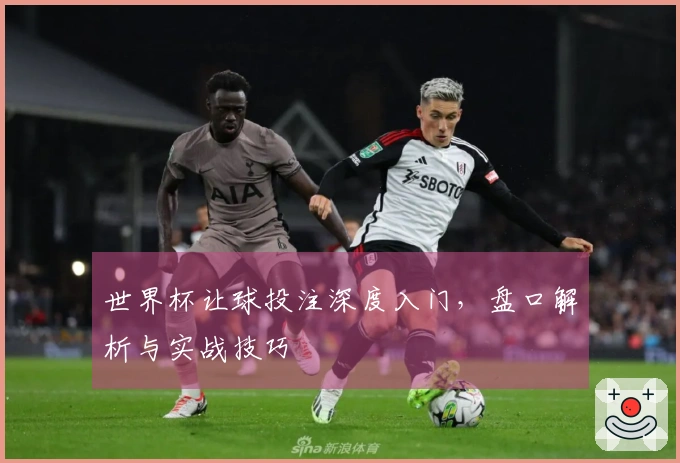 世界杯让球投注深度入门，盘口解析与实战技巧