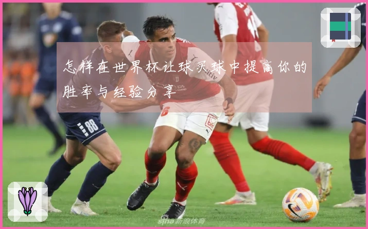 怎样在世界杯让球买球中提高你的胜率与经验分享