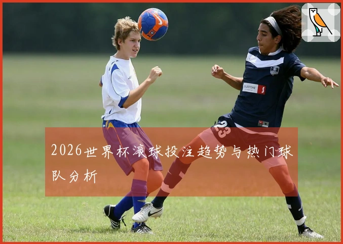 2026世界杯滚球投注趋势与热门球队分析