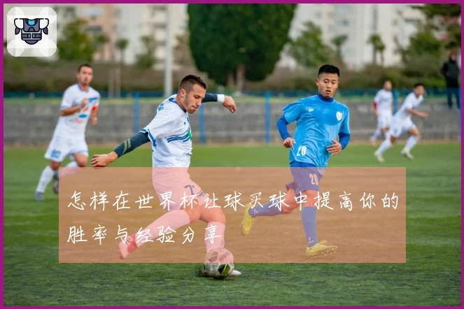 怎样在世界杯让球买球中提高你的胜率与经验分享