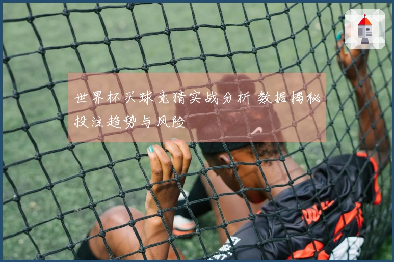 世界杯买球竞猜实战分析 数据揭秘投注趋势与风险
