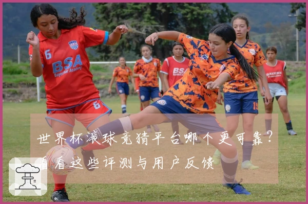 世界杯滚球竞猜平台哪个更可靠？看看这些评测与用户反馈