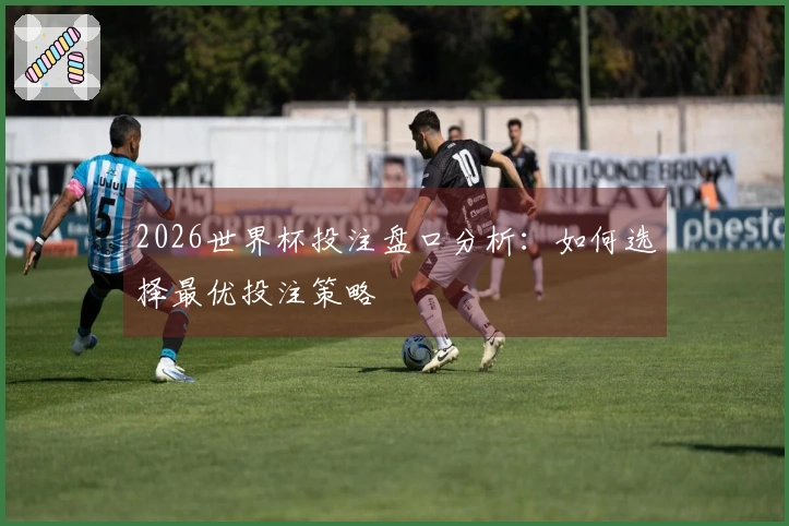 2026世界杯投注盘口分析：如何选择最优投注策略