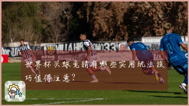 世界杯买球竞猜有哪些实用玩法技巧值得注意？
