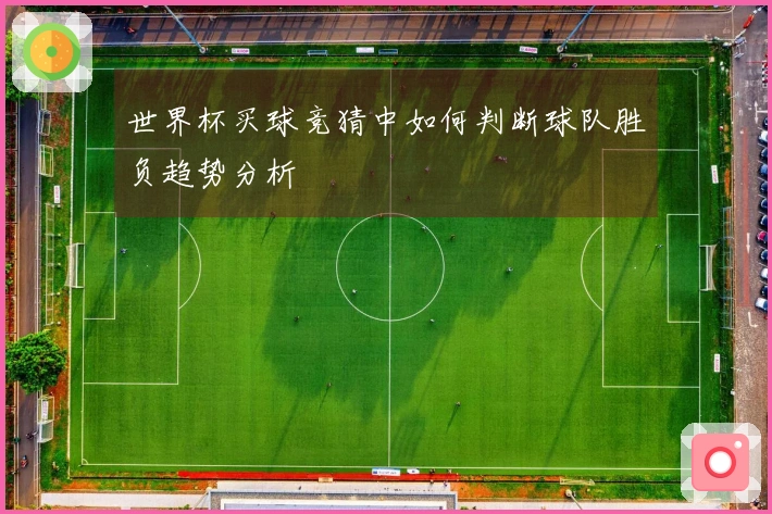 世界杯买球竞猜中如何判断球队胜负趋势分析
